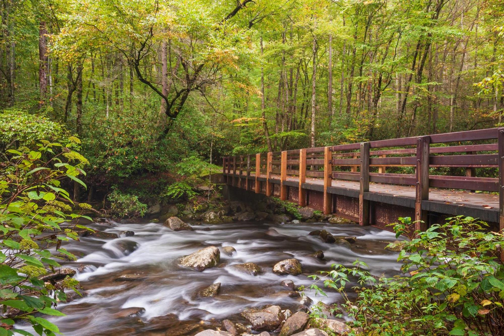 Breathtaking View, Hot Tub, 1089 Of Free Attraction Tickets For Each Paid Day, Dollywood And More! Sevierville Exterior photo